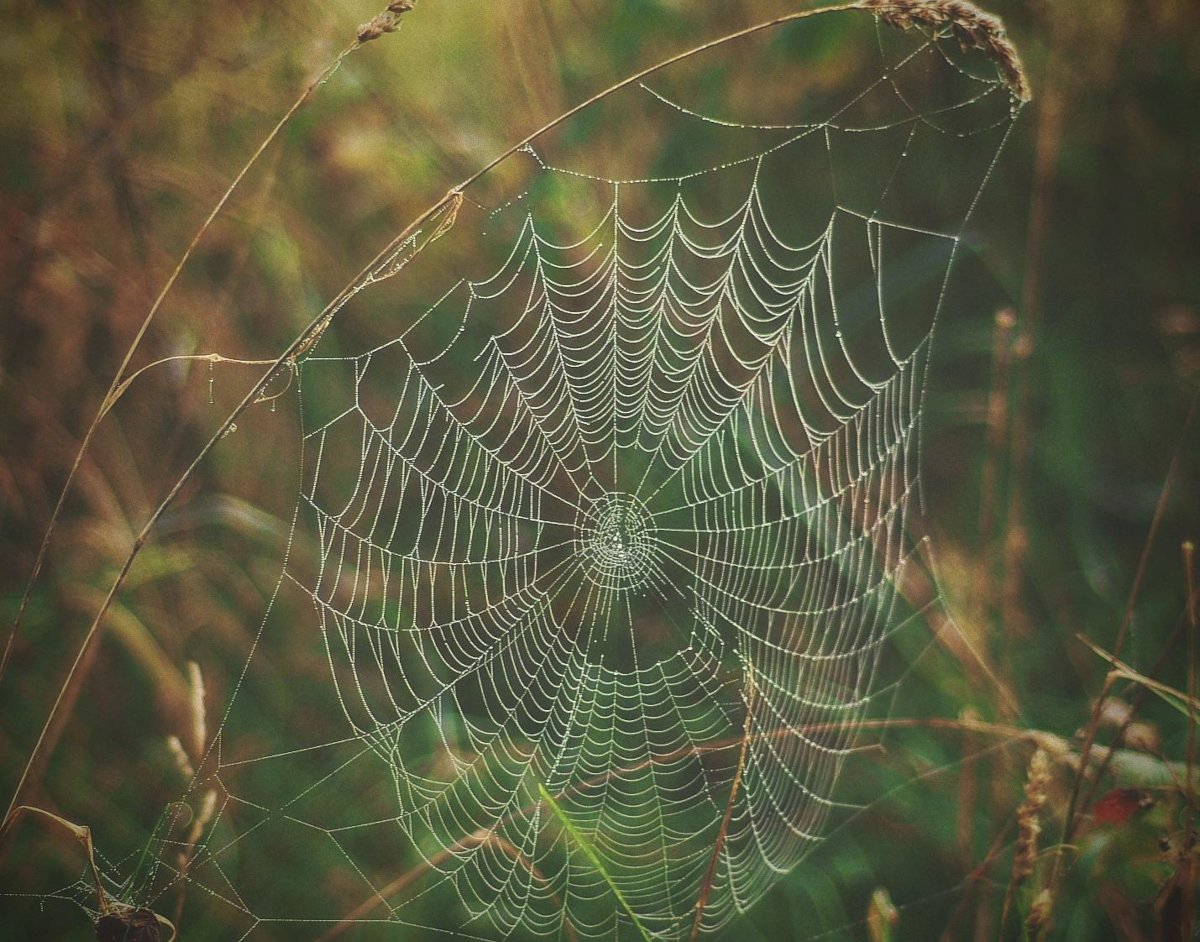 Reader photo of the week: The first sign of autumn in Sweden?