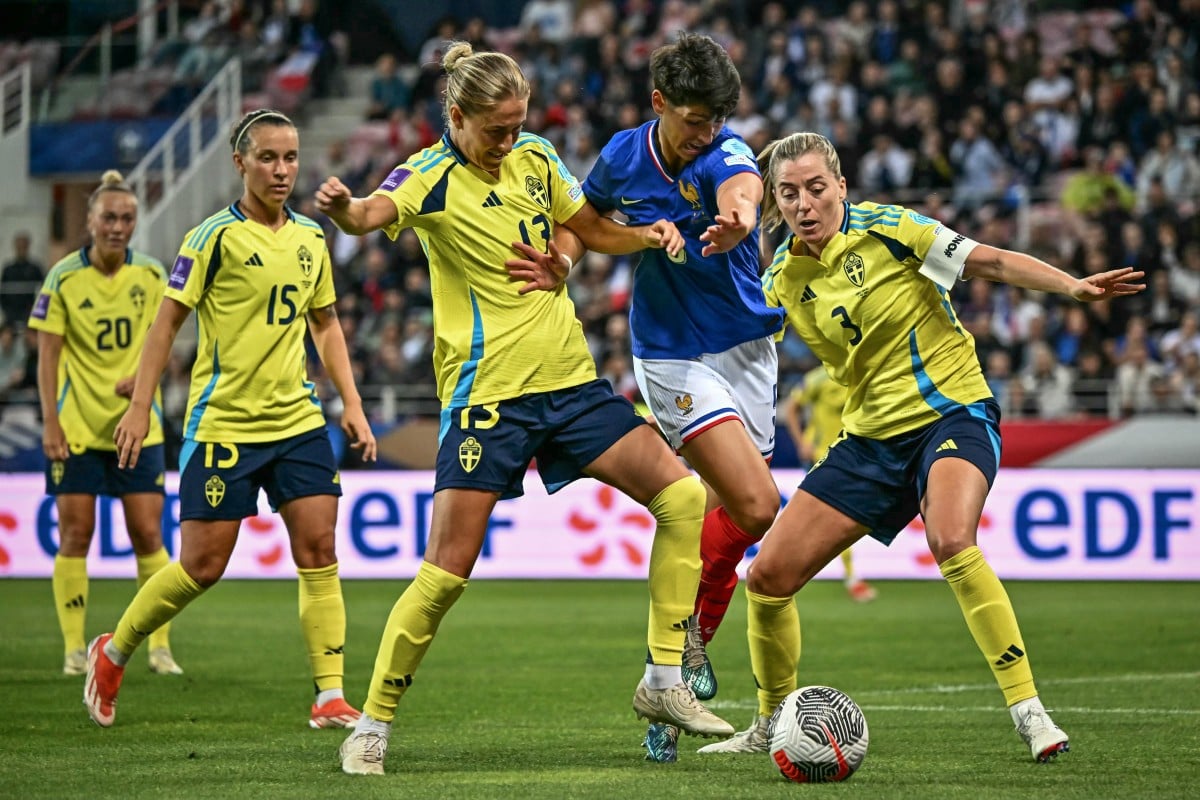 Sweden and Denmark announce joint bid for women's 2029 Euros