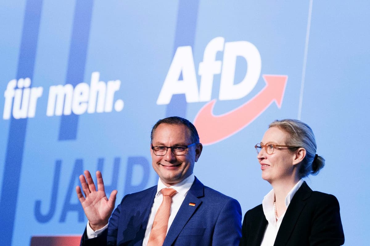EU elections: Why has Germany's far-right AfD party crashed in the polls?