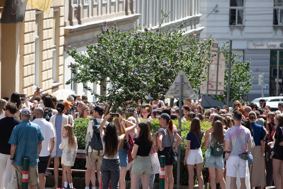 Taylor Swift fans try to lift their spirits in Vienna