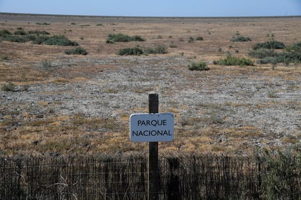 Spain farmers jailed for illegal water tapping at nature reserve
