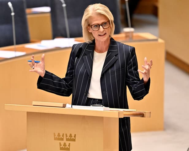 Politics in Sweden: Why Sweden's finance minister is willing to be unpopular