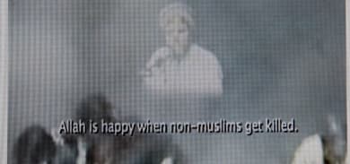 Özdemir: It's wrong to censor Dutch anti-Islam film