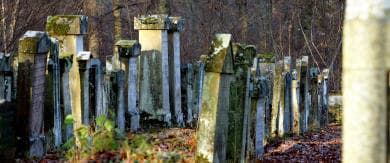 German vicar's grave therapy thwarted