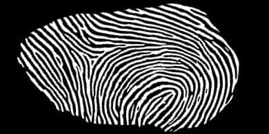 German Interior Minister Schäuble's fingerprint hacked