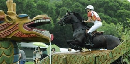 Germany takes equestrian lead amid spills and surprises
