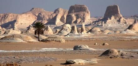 Five German tourists kidnapped in Egypt