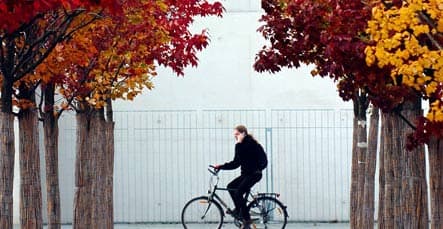 Berlin boasts brilliant fall leaves and a hefty cleanup bill