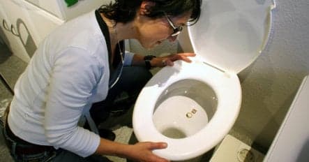 World Toilet Day and the perilous poo platform
