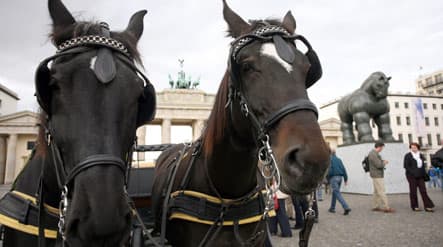 Horse-drawn carriage runs amok in Berlin