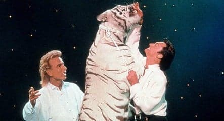Siegfried and Roy take to stage with tiger for last hurrah