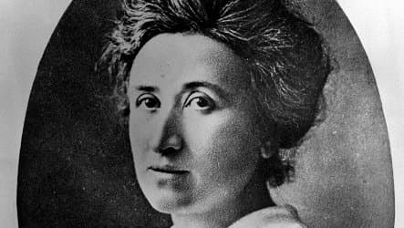 Rosa Luxemburg's body likely found 90 years after murder