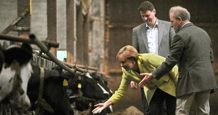 Milk price row moves Merkel to meet farmers