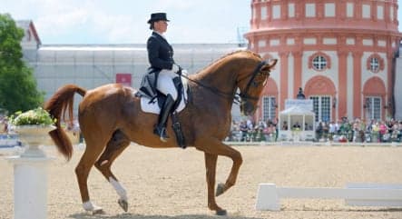 Another positive doping test for German equestrian team