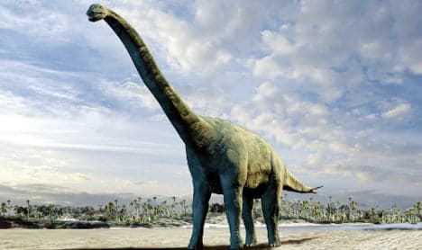 German scientists discover a new type of dinosaur in Niger