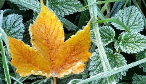 First autumn frost expected over the weekend