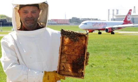 Honey bees monitor air quality at Hamburg Airport