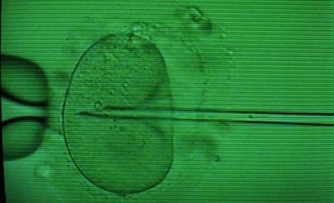 Green light given to gene testing IVF embryos