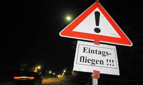 Mating mayflies pose Bavarian traffic hazard
