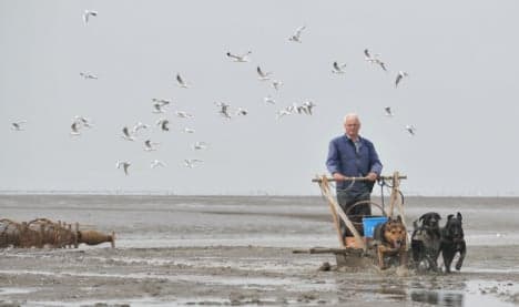 Lone pensioner keeps dog sled crabbing tradition alive