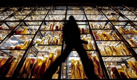Berlin's Natural History museum celebrates 200th jubilee