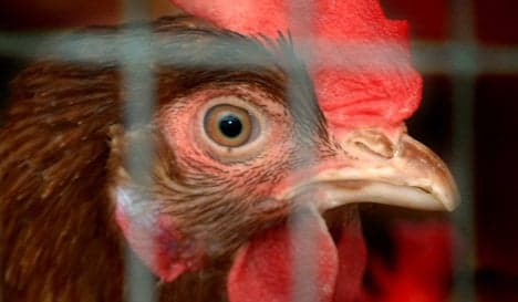 Poultry farmers launch attempt to clean up image