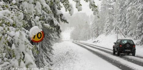Season's first snowfall coats northern Sweden
