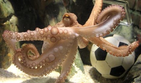 Paul the octopus oracle found dead