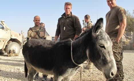Donkey helps Bundeswehr fight Taliban in Afghanistan