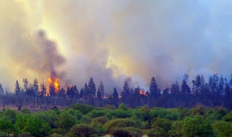 Firefighters quench huge forest blaze near Aachen