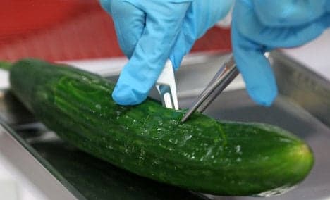 Spanish cucumbers not behind E. coli outbreak