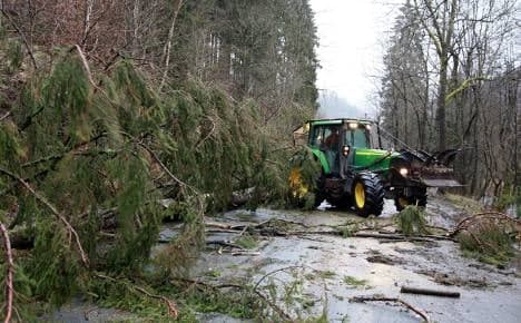 Germany ravaged by New Year's storms