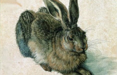 Dürer's Easter favourite - hare to stay