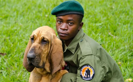 German bloodhound gang hunts poachers