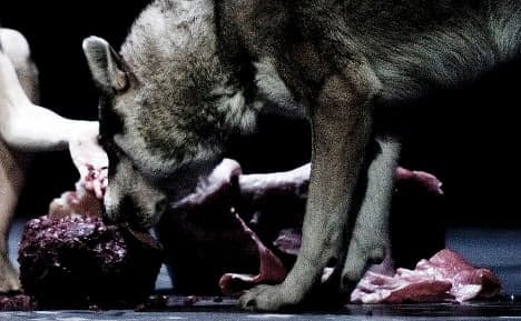 Live wolves in dance show 'the latest shock'