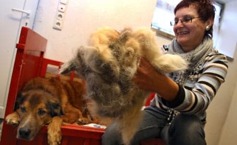 Bavarians clamour for canine wool