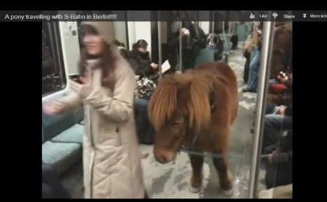 Berlin's YouTube pony had grand day out