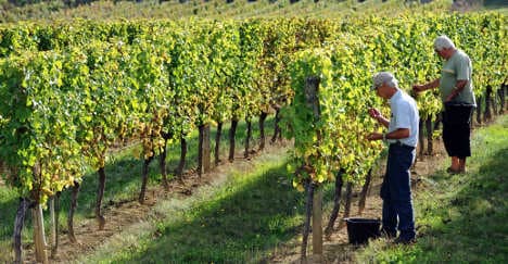 France's wine industry facing green future