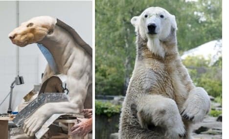 Knut's real fur used for new museum statue
