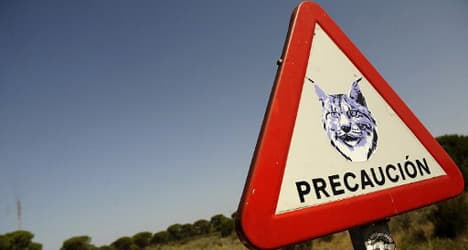 'Most fragile' Spain tops endangered species list