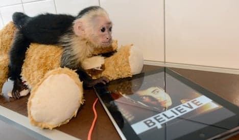 Justin Bieber's monkey becomes 'German'