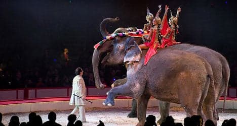 Senator slams circus use of endangered elephants