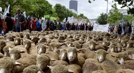 Sheep march through Paris in farmers' protest