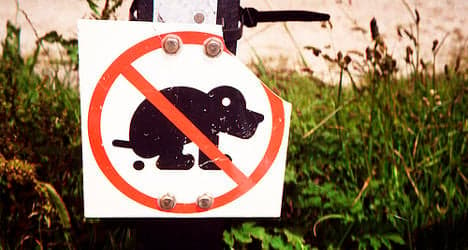 Spanish town mails dog poo back to owners