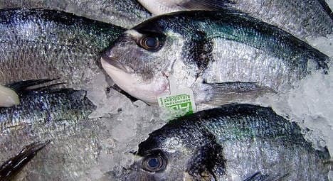 French warned over eating too much fish