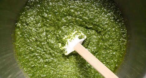 10 people sick in Genoa after eating toxic pesto