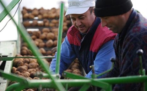 Cold, wet, spring pushes potato prices up