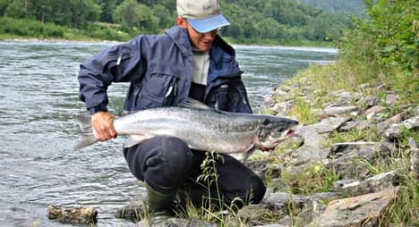 Norway limits 'low stock' salmon fishing