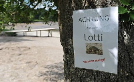 Snapping turtle terrorizes Bavarian lake
