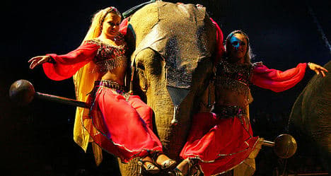'How can you ban circus elephants but not bulls?'